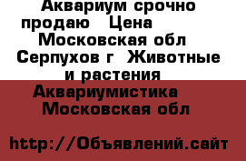  Аквариум срочно продаю › Цена ­ 2 500 - Московская обл., Серпухов г. Животные и растения » Аквариумистика   . Московская обл.